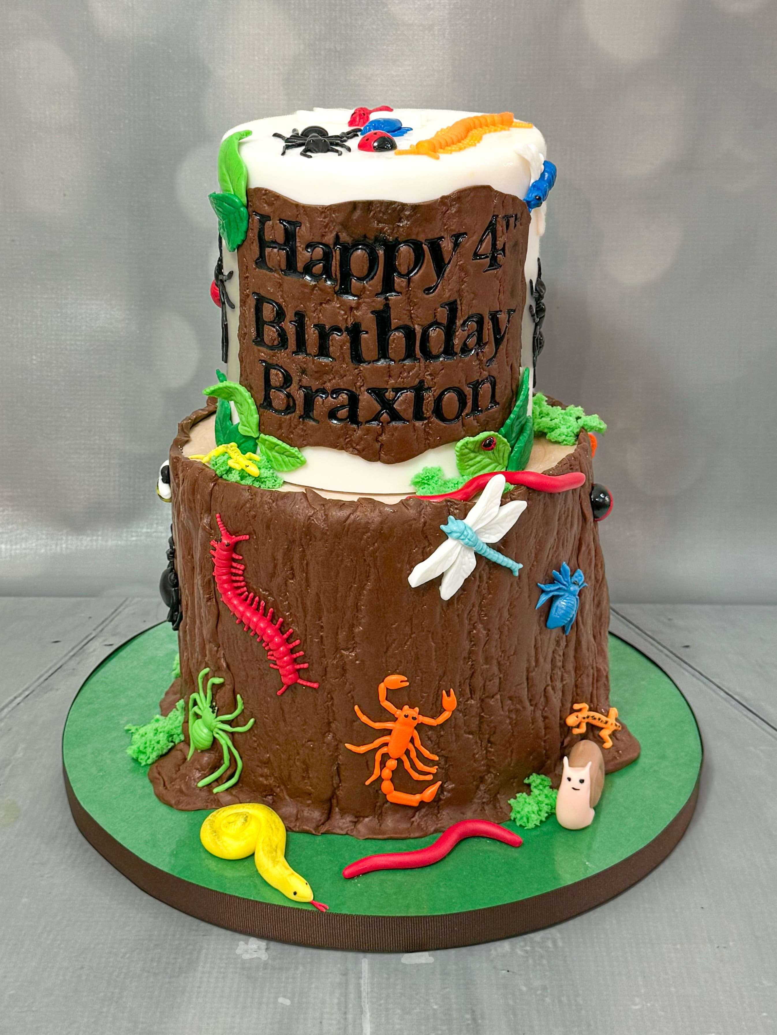 Bug and insect themed two-tier birthday cake with colorful insects by Sweet Cakes by Kristen